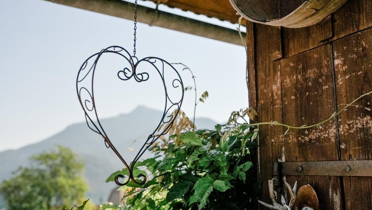 Archehof Eislbauer - Bauernhof Fuer Die Seele! Villa Sankt Gilgen Eksteriør bilde