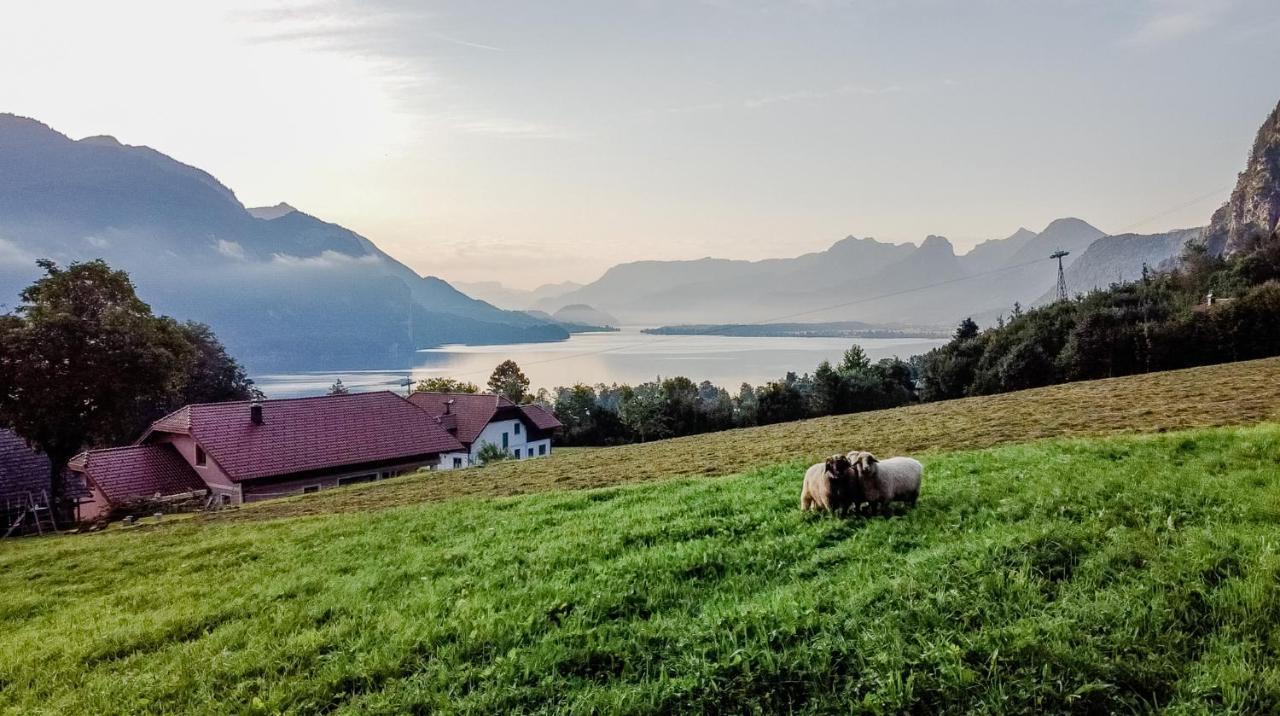 Archehof Eislbauer - Bauernhof Fuer Die Seele! Villa Sankt Gilgen Eksteriør bilde
